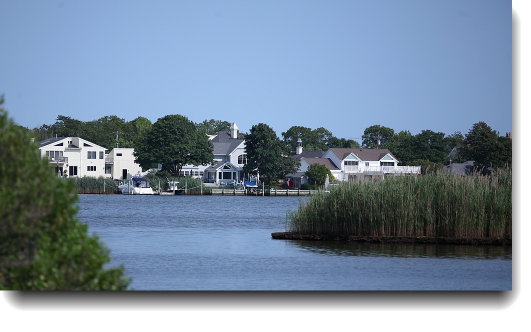 IMG_7286a.jpg