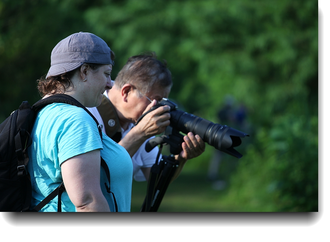 IMG_6447a.jpg