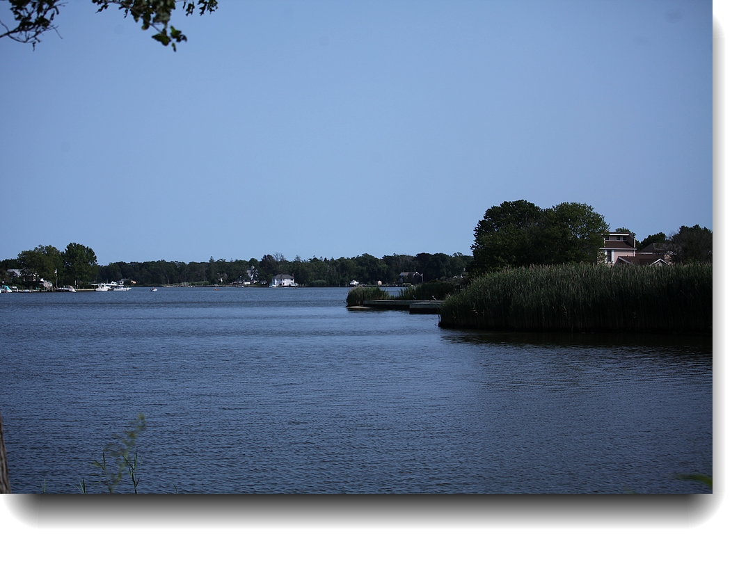 IMG_7305a.jpg