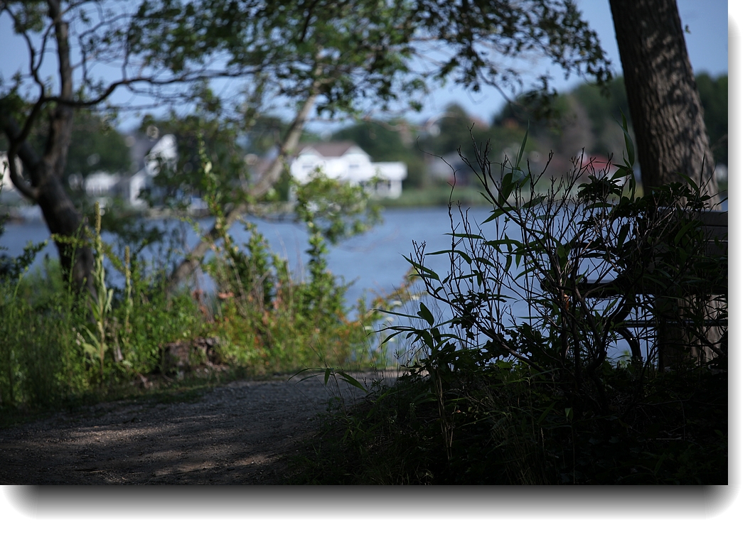 IMG_7304a.jpg
