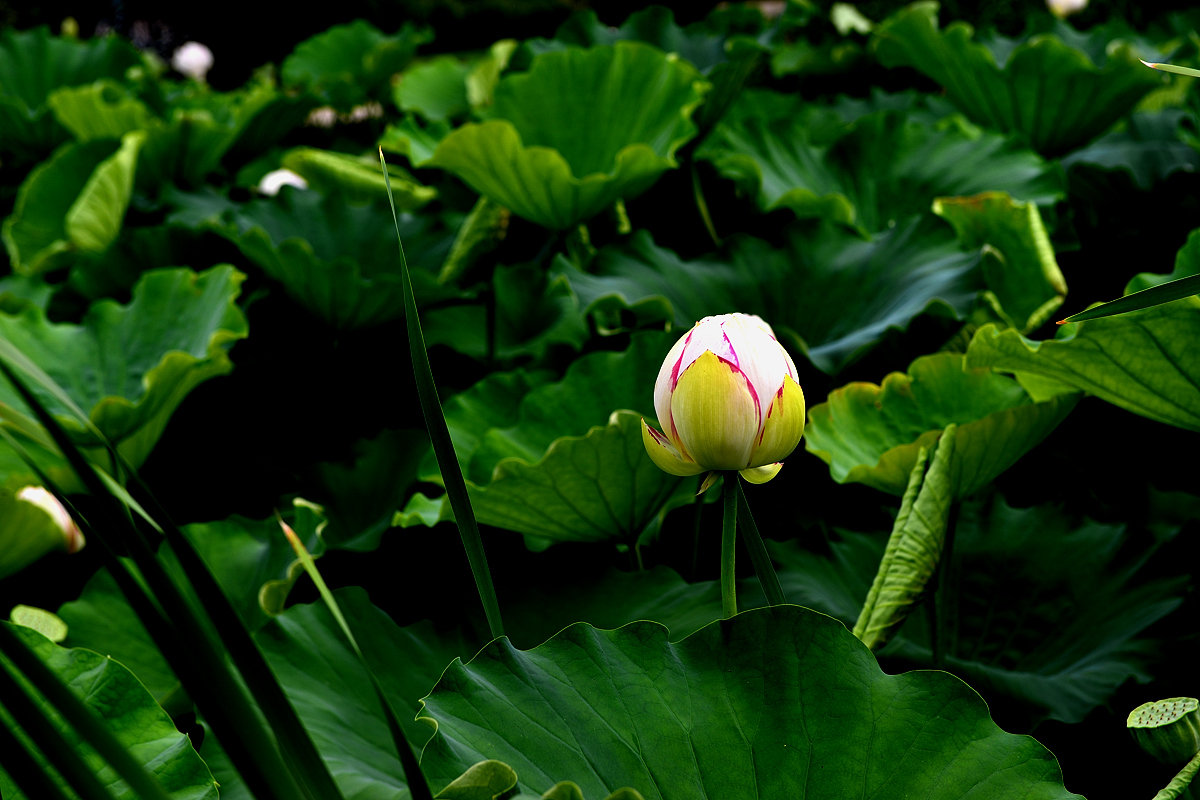DSC_3283_.jpg