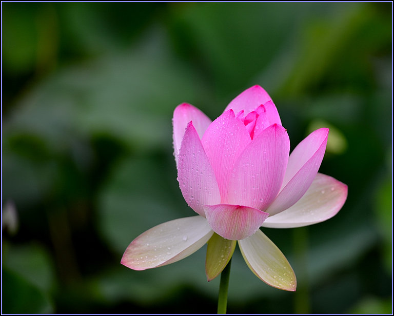 DSC_2275_.jpg
