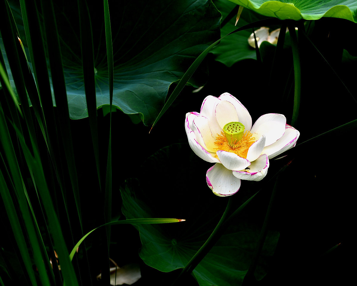DSC_3287_.jpg