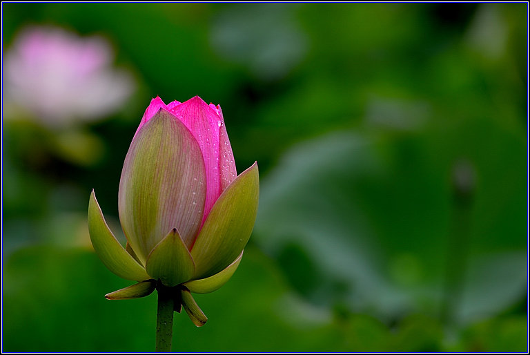 DSC_2278_.jpg