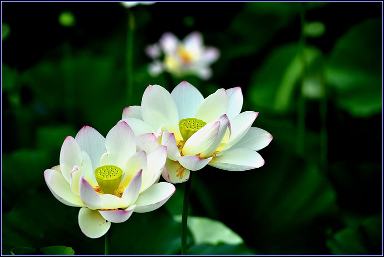 DSC_2719_.jpg