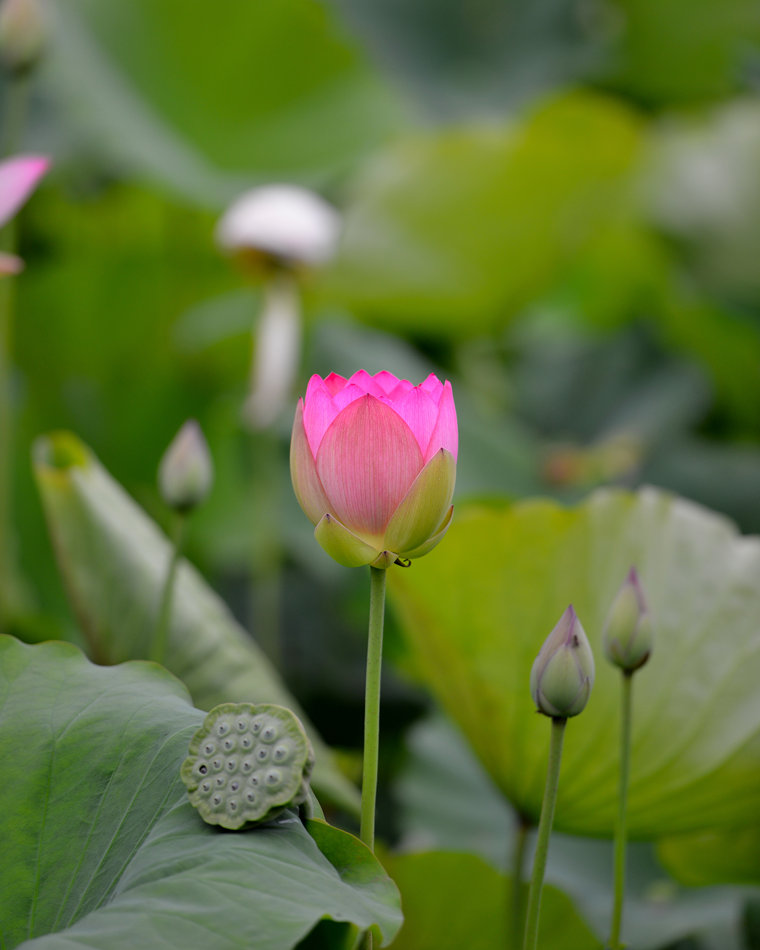 DSC_2541_.jpg