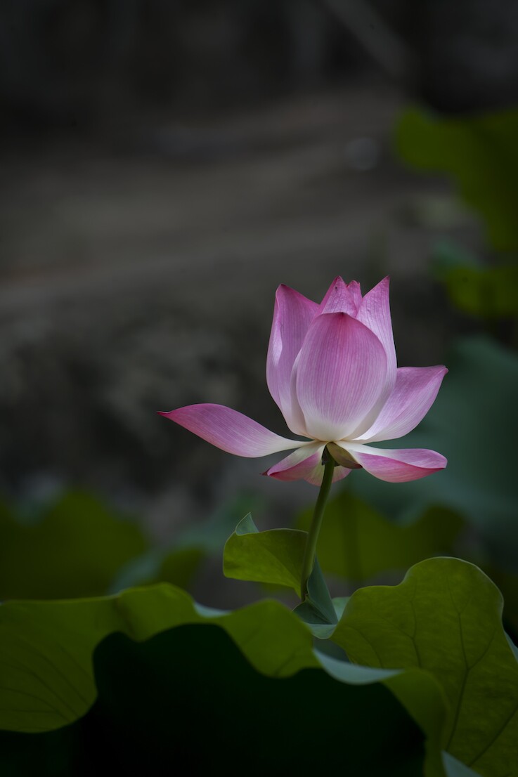 QQͼƬ20140615223100.jpg