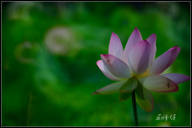 DSC_9352.jpg