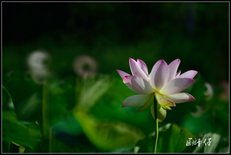DSC_9348.jpg