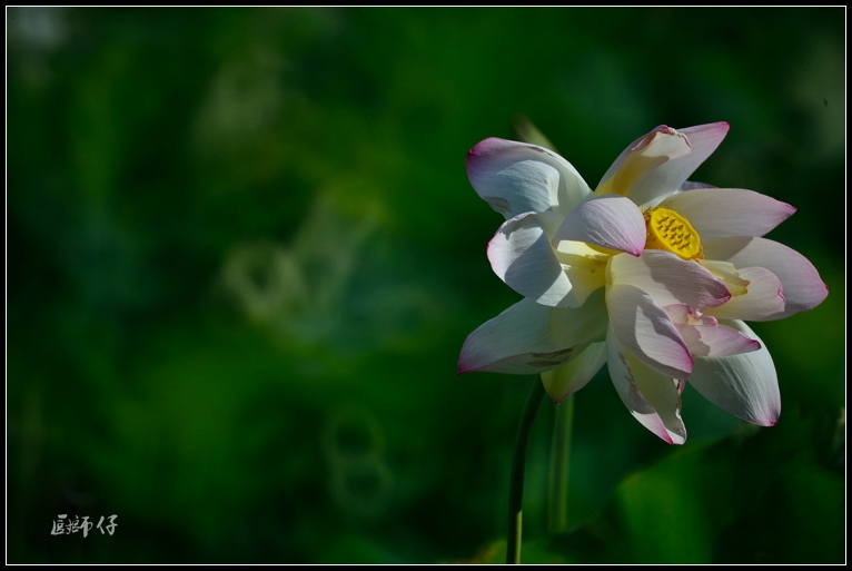 DSC_9351.jpg