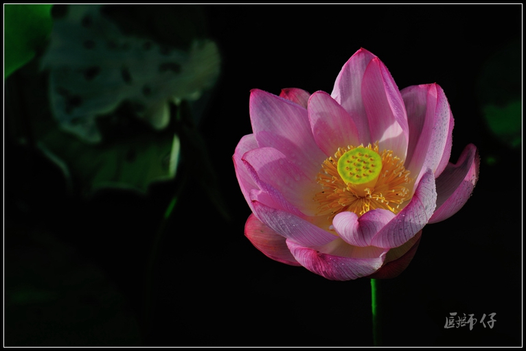 DSC_4161.jpg