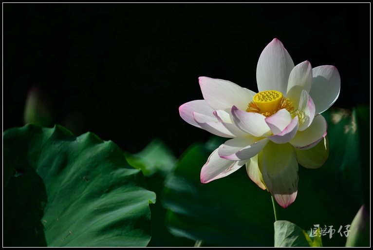 DSC_9363.jpg