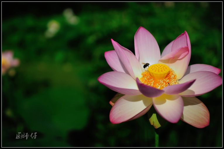 DSC_4222.jpg