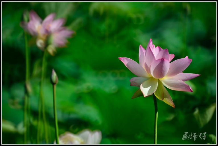 DSC_9366.jpg