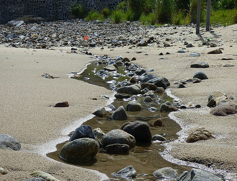 P1040156.JPG