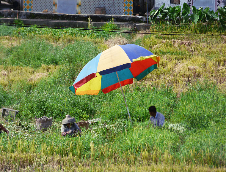 P1040166.JPG