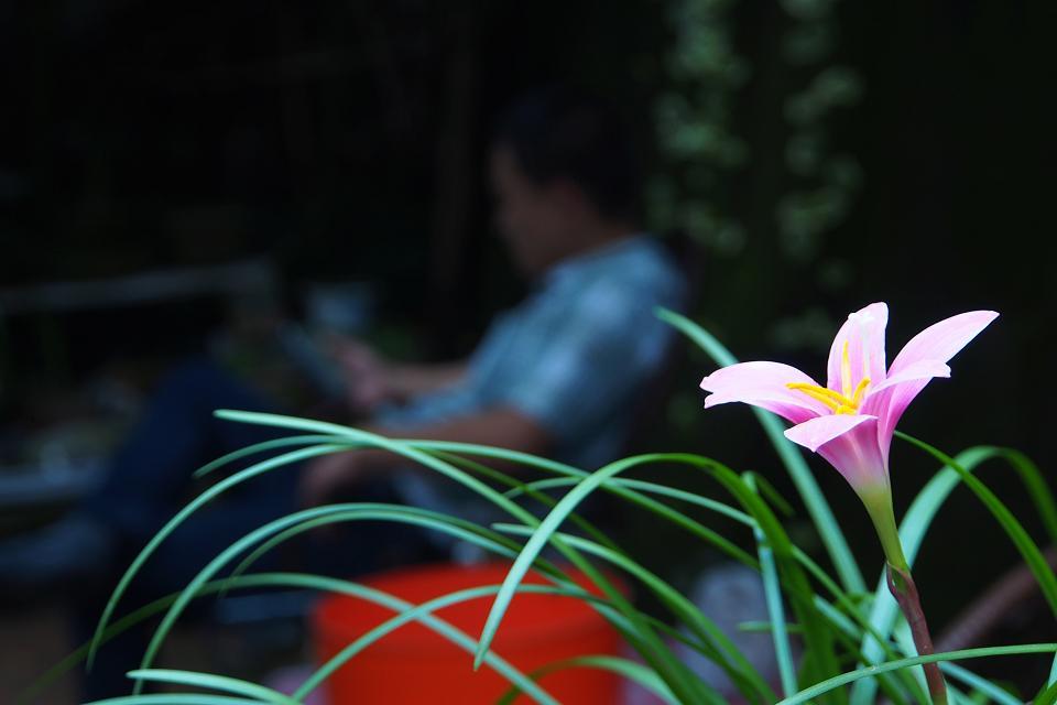 10b.jpg