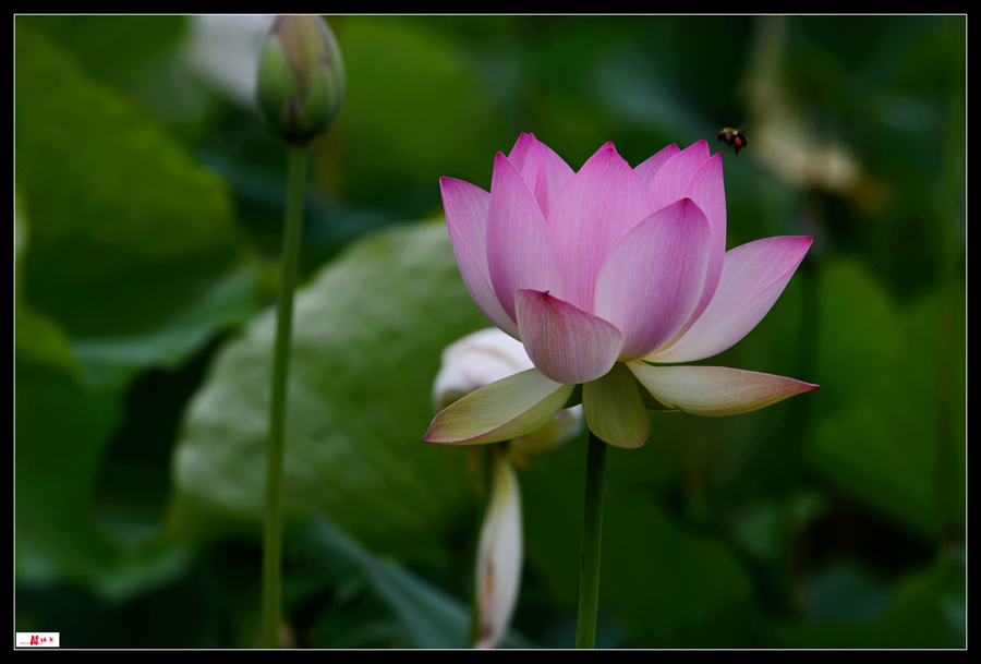 DSC_8183_.jpg
