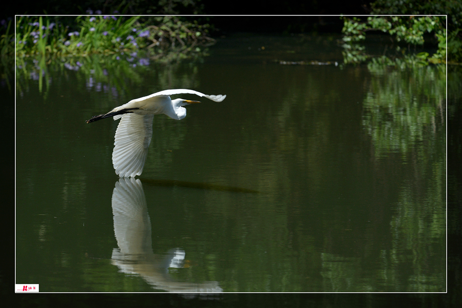 DSC_3089__.jpg