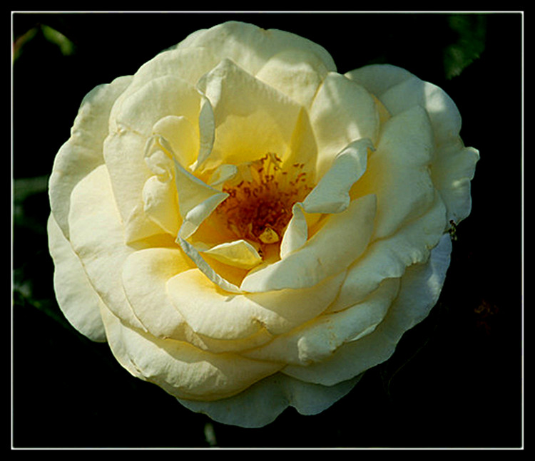 DSC_0308_.jpg
