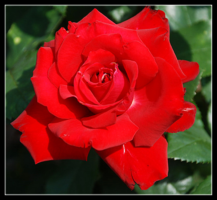 DSC_0330_.jpg