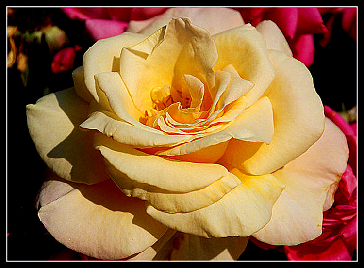 DSC_0429__.jpg