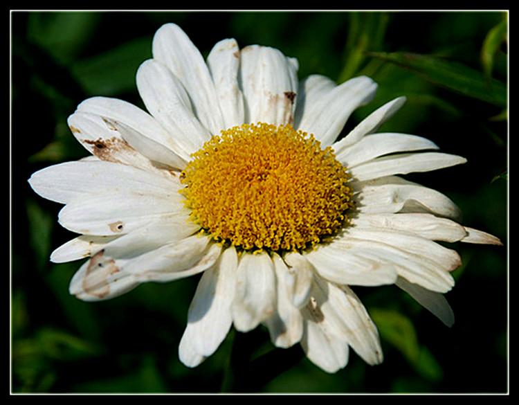 DSC_0165__.jpg