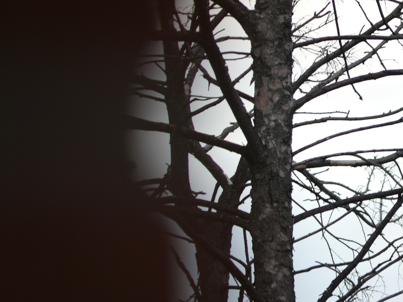 L1480851.JPG