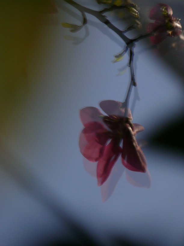 L1440281.JPG