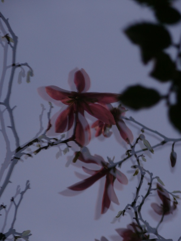 L1440302.JPG