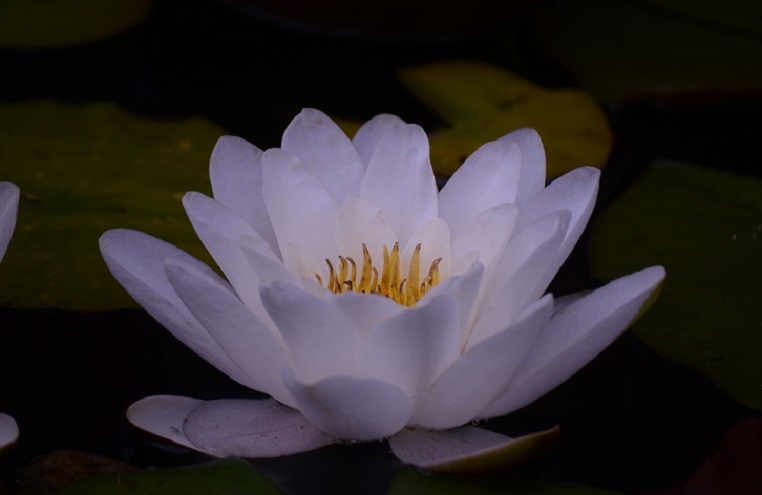 DSC_3880.JPG