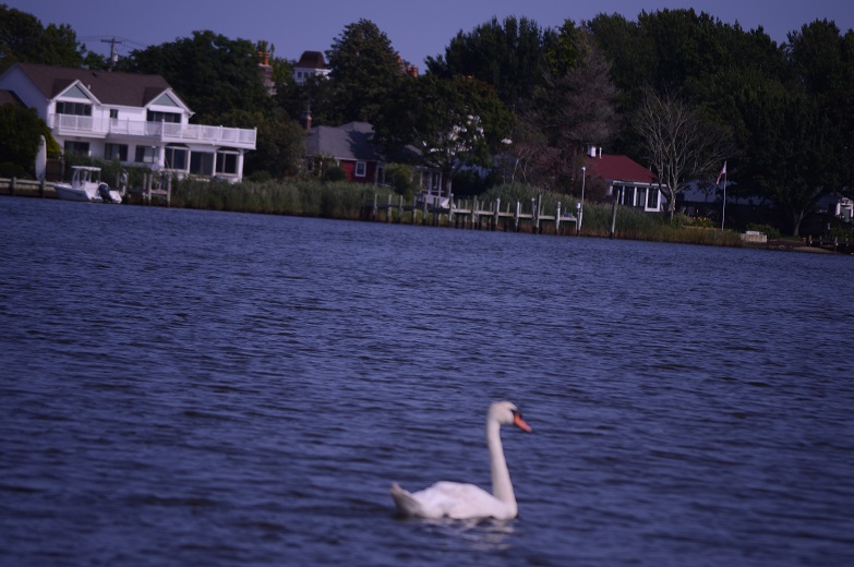 DSC_3469.JPG