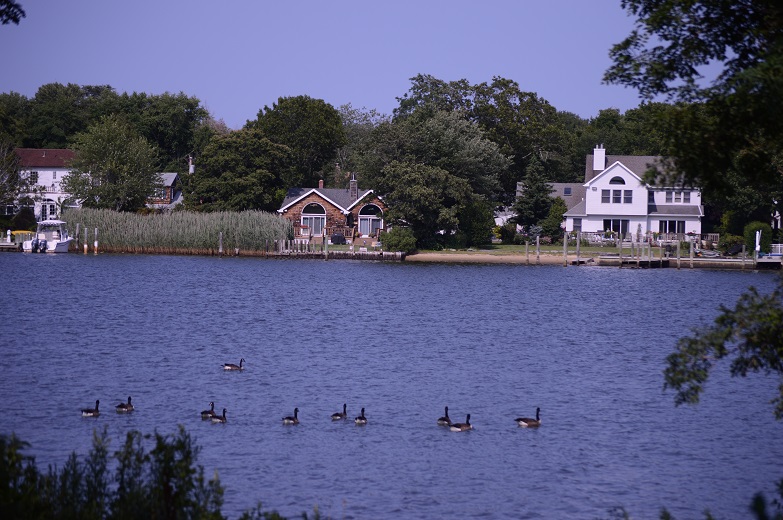 DSC_3473.JPG