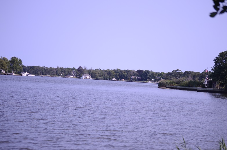 DSC_3439.JPG