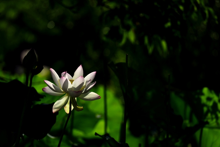 _DSC9049_01_01.JPG