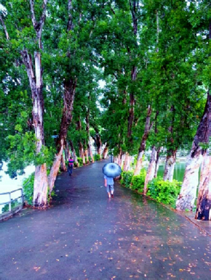 20140622_145006.jpg