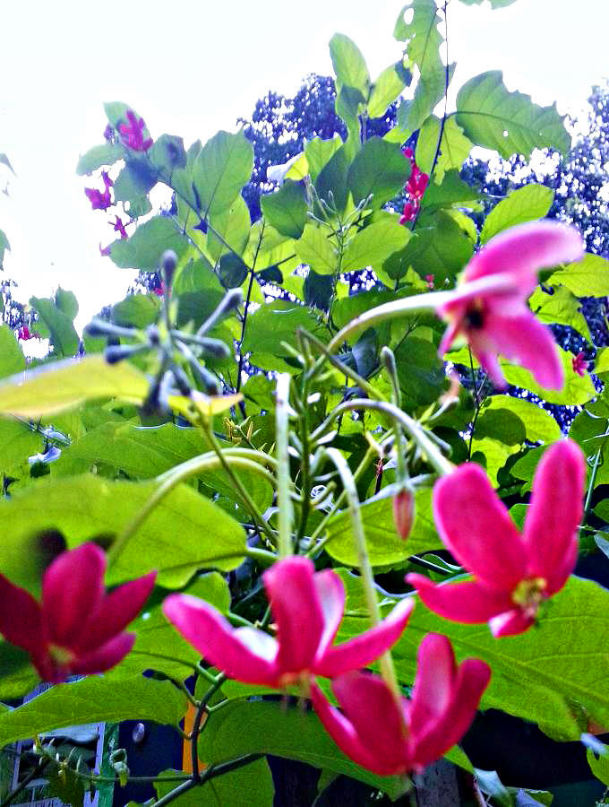 20140702_190227.jpg