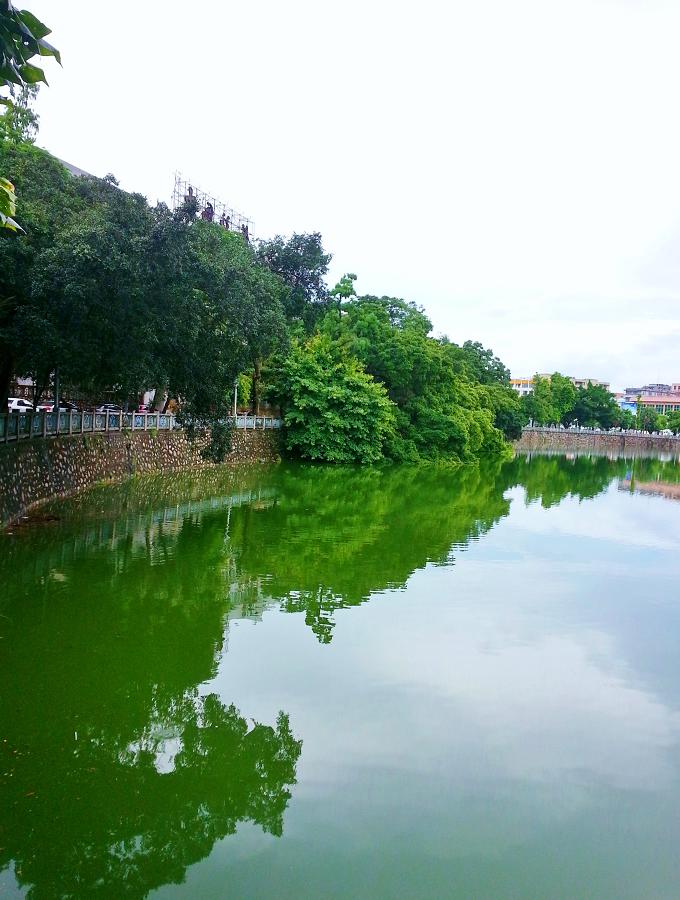 20140701_094115.jpg