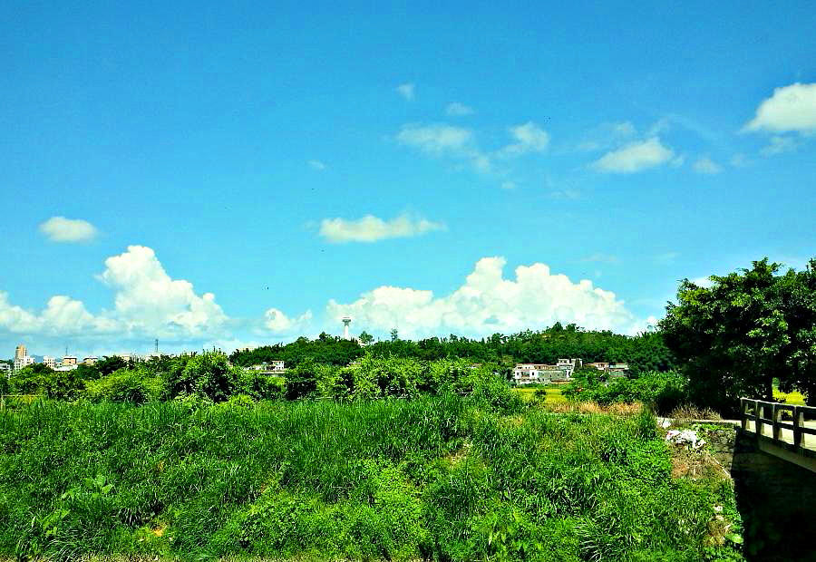 20140702_143312.jpg