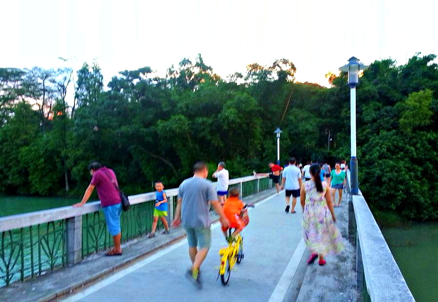 20140616_191521.jpg