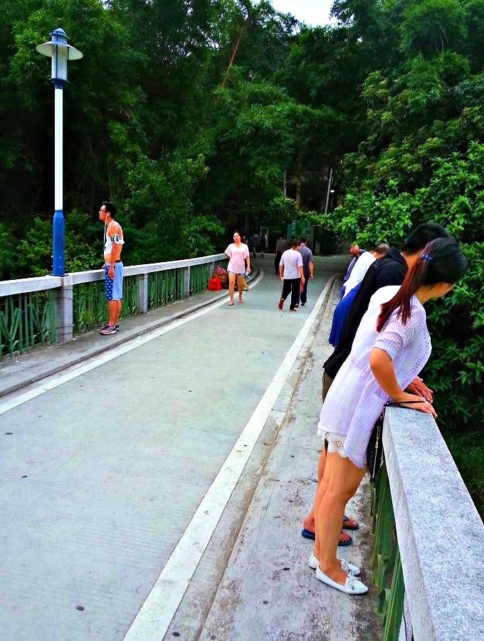 20140617_190045.jpg