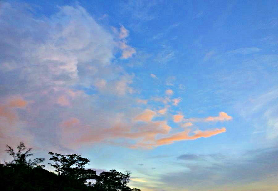 20140712_190955.jpg