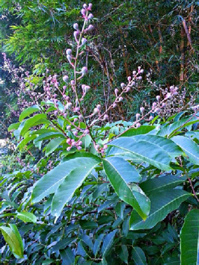 20140702_190156.jpg
