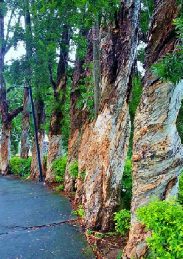 20140622_144830.jpg