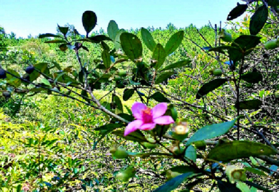 20140702_141120.jpg