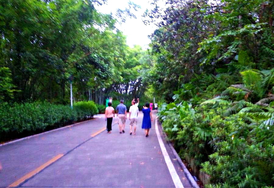 20140617_185544.jpg