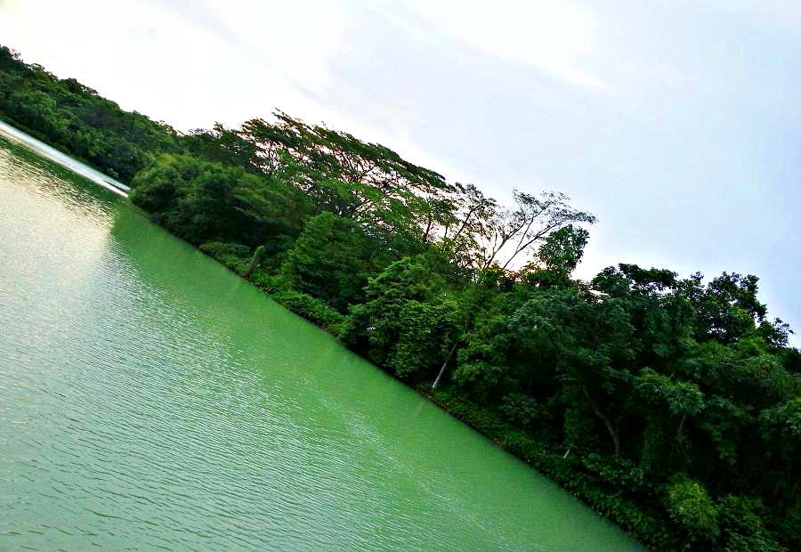 20140702_185819.jpg