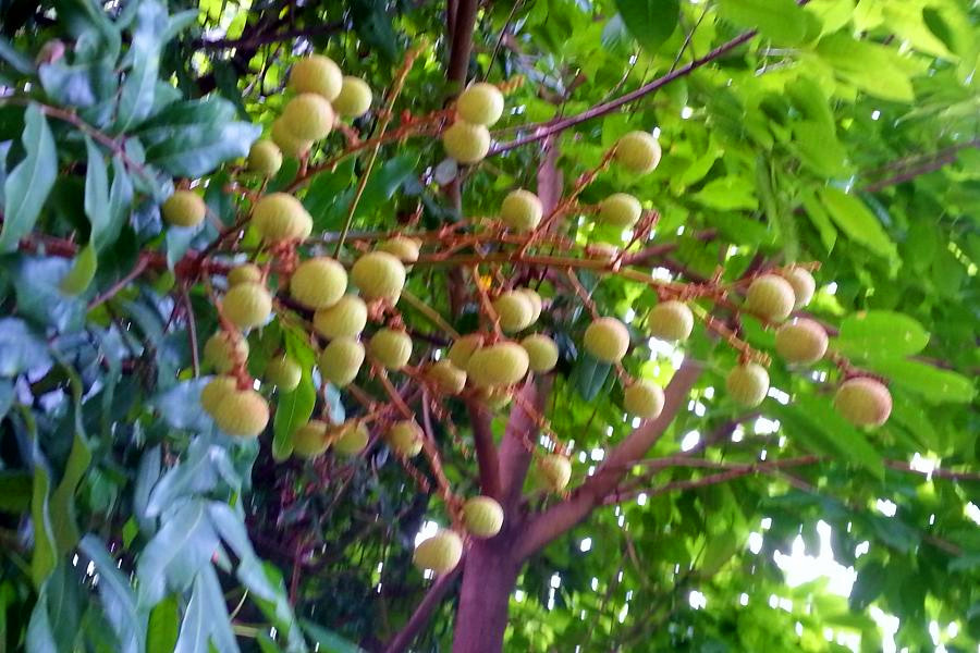 20140621_144930.jpg
