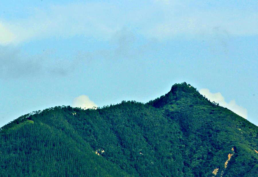 IMG_8177.JPG