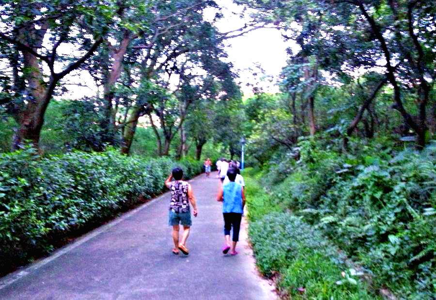 20140702_190533.jpg